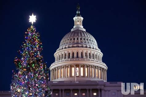 Photo: Capitol Christmas Tree Lighting on Capitol Hill in Washington ...