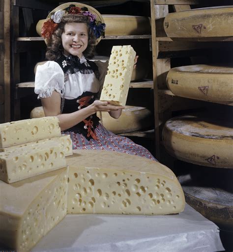 Holey Cow! Swiss Cheese Mystery Solved – National Geographic Education Blog