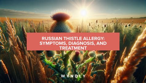 Russian Thistle Allergy: Recognizing and Treating Symptoms (2024) & Wyndly