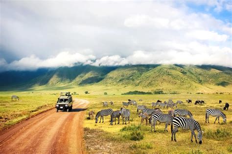 Kenya & Tanzania Wildlife Safari - 7 Days | kimkim