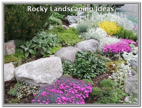 Rockery Plants For Shade - Plants BC