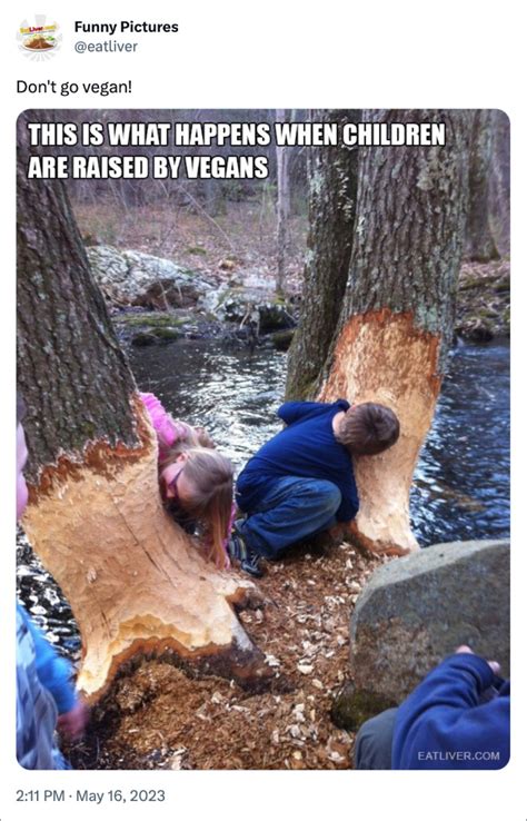 Funny Vegan Memes To Brighten Your Day