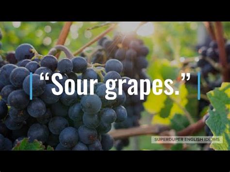 "Sour Grapes" Idiom Meaning, Origin & History | Superduper English ...