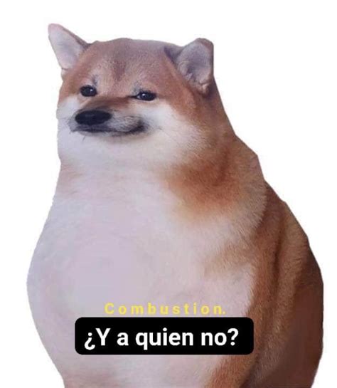 Pin de Ghost Girl en Meme de Cheems | Memes perros, Imágenes divertidas ...