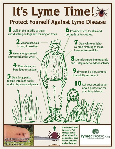 Prevention steps against tick-borne illness | Lymedisease.org