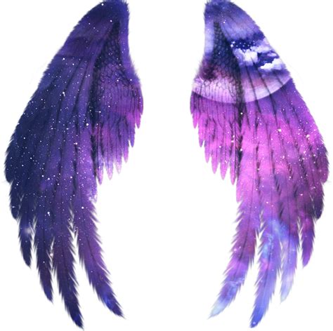 Angel Wings Png Download Image Png Arts | Images and Photos finder