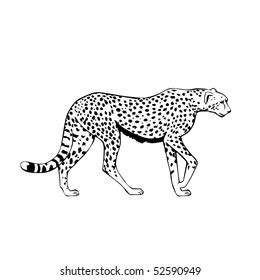 Black White Cheetah Illustration Stock Illustration 52590949 | Shutterstock