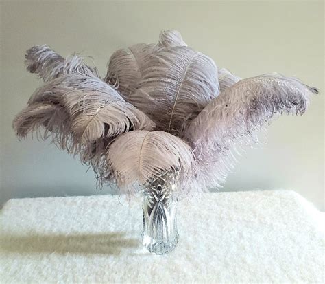 1st Quality XL Individual Female Ostrich Feathers – KOLUNTU