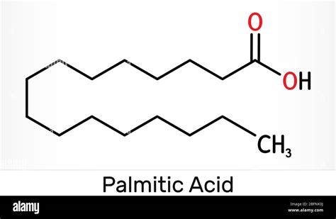 Palmitic Acid