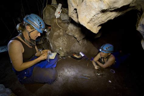 Anthropologists describe the first skeleton of a Homo naledi child ...