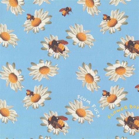 Flower Boy Tyler the Creator Wallpapers - Top Free Flower Boy Tyler the ...