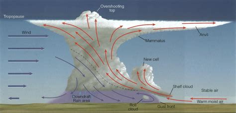 Cumulonimbus Clouds Diagram