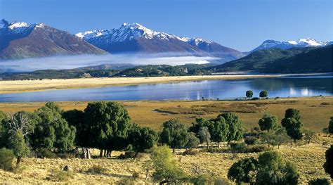 Aves migrantes en el entorno natural de Esquel | Expreso