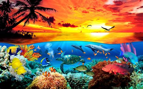 Sea Creatures Wallpapers - Top Free Sea Creatures Backgrounds ...