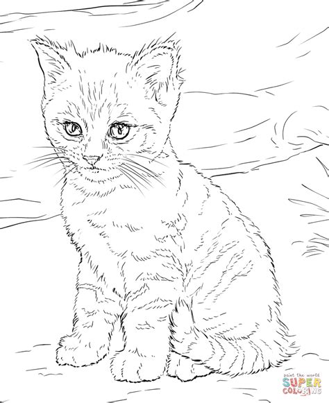 Cute Kitten | Super Coloring Super Coloring Pages, Online Coloring ...