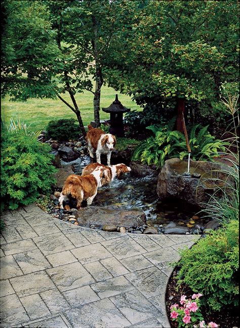 How to Create a Dog-Friendly Garden | Dog friendly garden, Dog friendly ...