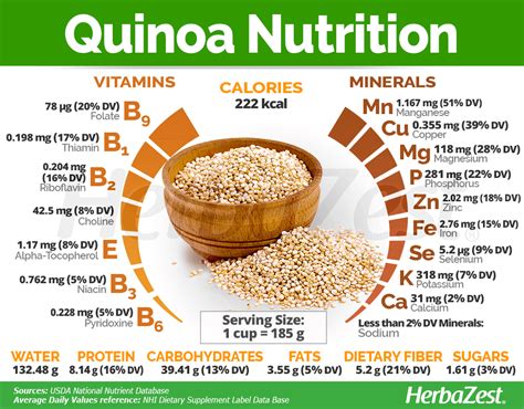 Quinoa | HerbaZest