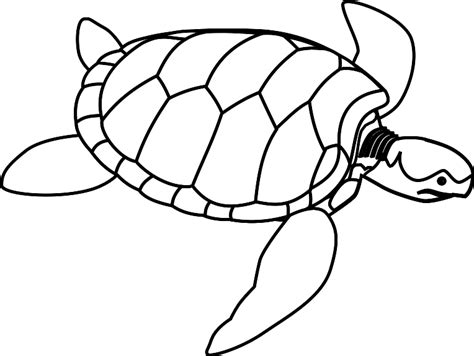 Turtle Outline Clip Art at Clker.com - vector clip art online, royalty ...