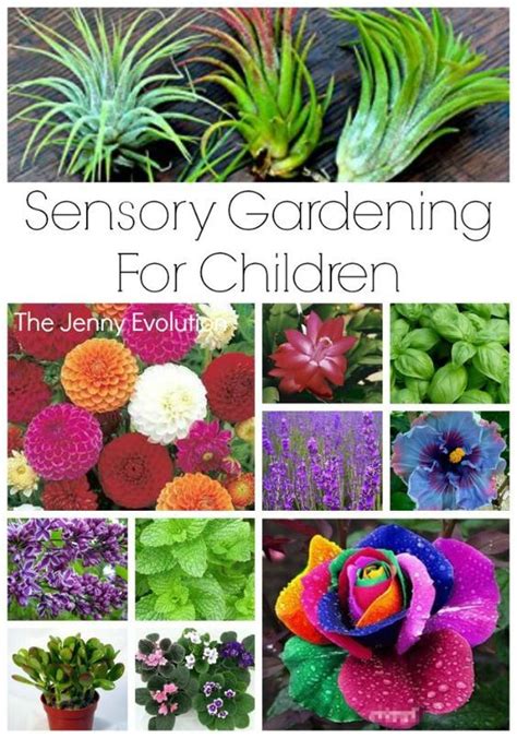 Sensory Garden Ideas for Children Tiny Garden Ideas, Garden Ideas To ...