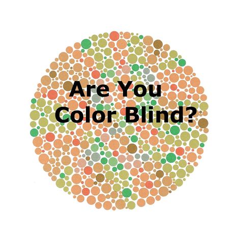 Color Vision Test Animals - BubaKids.com