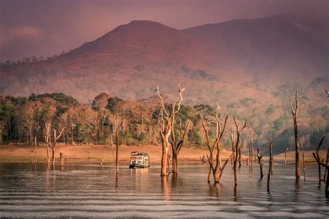 Thekkady Boating in Periyar Lake : Explore Best Things To Do in Kerela