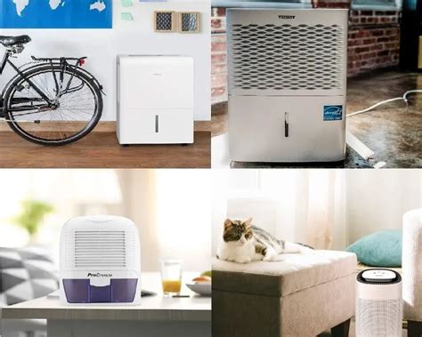 Best Dehumidifiers 2023: Top 10 Air Dryers Reviewed