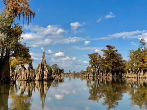 Protecting the Apalachicola – A National Treasure • The National ...