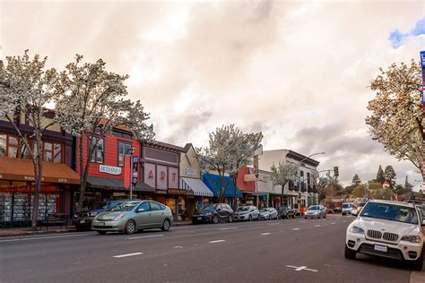 Relaunch Sebastopol - City of Sebastopol, California