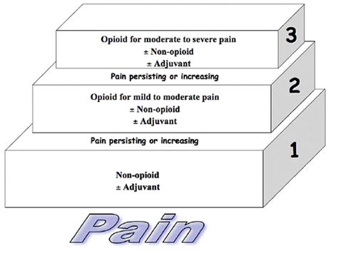 Neuropathic Pain: Who Neuropathic Pain Ladder