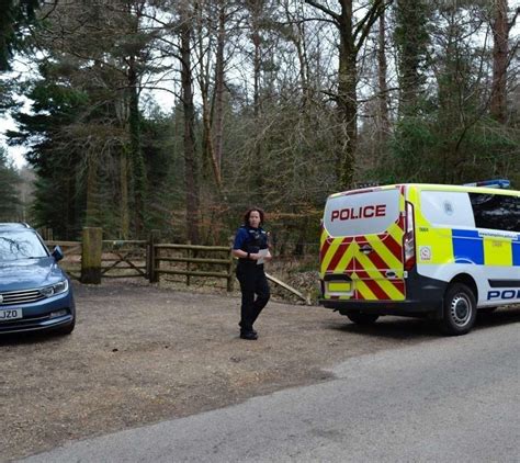 Police slam drivers blocking New Forest access gates as fire crews ...