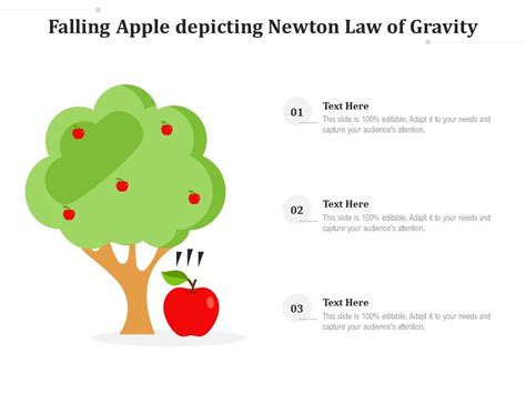 Isaac Newton Gravity Law