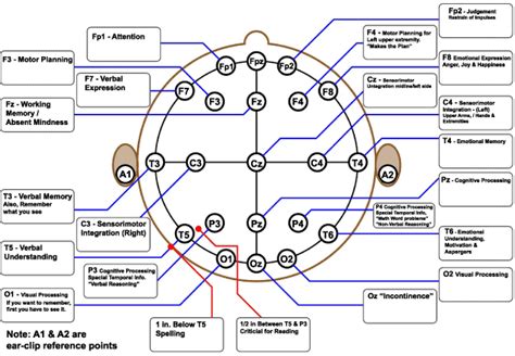 help for Bipolar Longitudinal montage ? — OpenBCI Forum