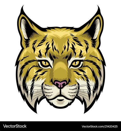 Wildcat head Royalty Free Vector Image - VectorStock