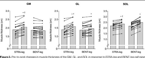 Muscle Swelling of the Triceps Surae in Response to Straight-Leg and ...