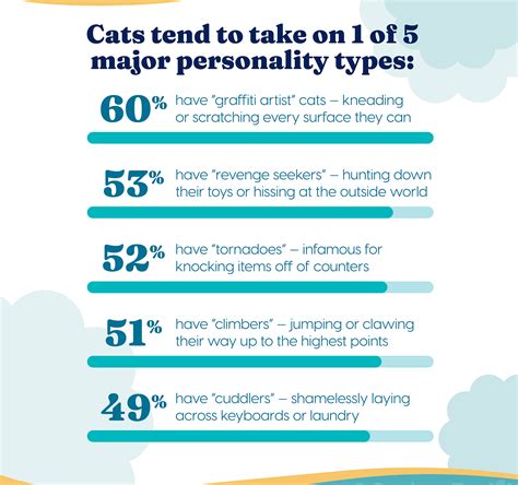 Cats have 5 major personality types, pet owners believe