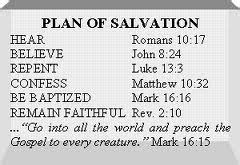 Five Steps to Salvation – The Kingdom, The Kids, & The Cowboys