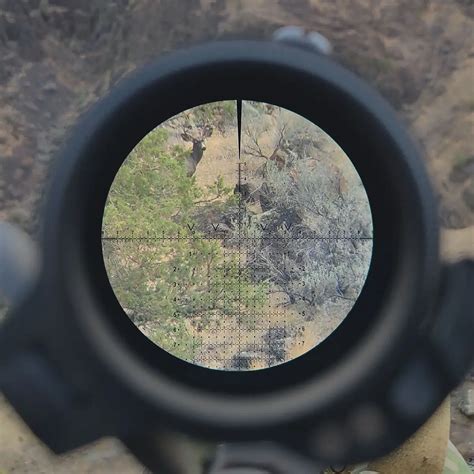 How to Use the Leupold Tri Moa Reticle - hunterzonepro