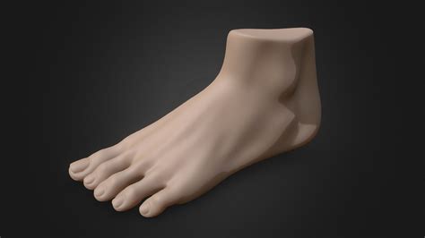 Female Foot - Download Free 3D model by yuzutarou (@yuzuponponpon ...