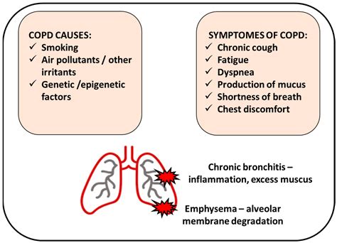 Copd And Coughing Up Mucus