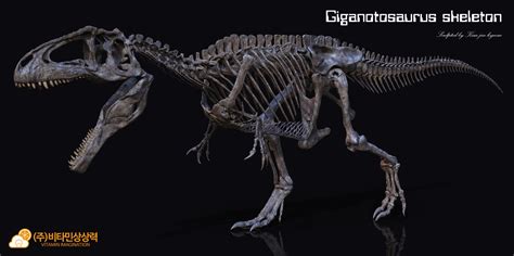 Giganotosaurus skeleton, Vitamin Imagination on ArtStation at https ...