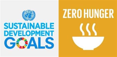 【SDGsを英語で学ぶ】Goal2 ZERO Hunger 飢餓をゼロに - Sayuzo日々是ごきげん