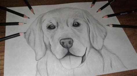 Perro Dibujo Realista - Atigrado Dibujando | Homerisice