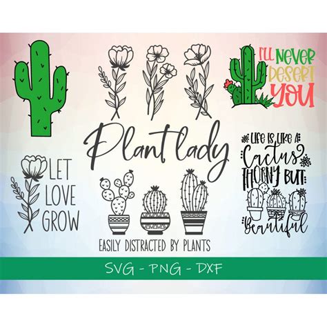 100+ SUCCULENT SVG BUNDLE