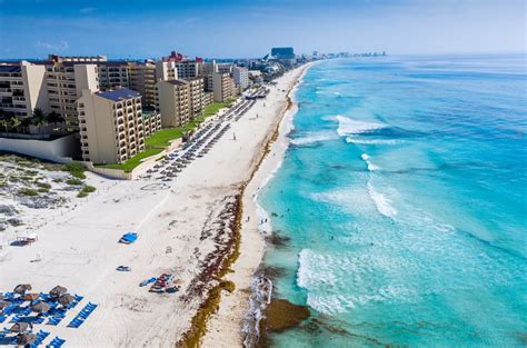 Sargassum Arrives On Cancun Beaches Early - Here’s What Travelers Need ...