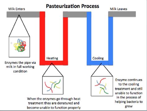 Why HTST pasteurization is the most common method in beverage production?