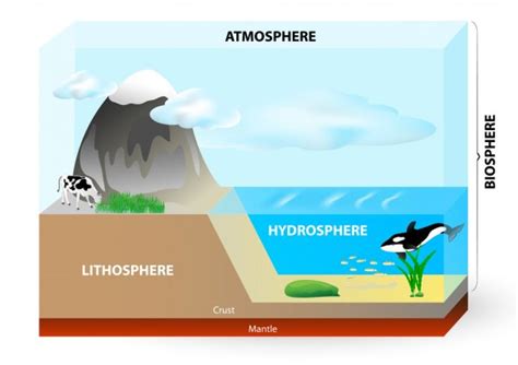 Atmosphere, biosphere, hydrosphere, lithosphere, — Stock Vector ...