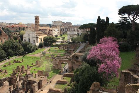 Palatino Rome | Palatino Rome / Palatine Hill Rome, Italy | Slavophile ...