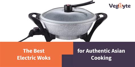 5 Best Electric Wok Reviews (2022) | VegByte