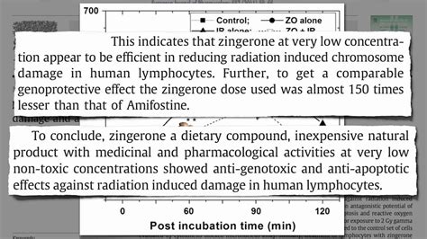 Ginger Benefits- Zingerone against Radiation - YouTube