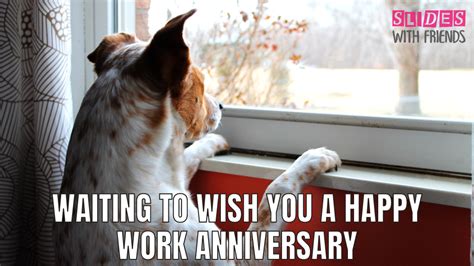 How to Say Happy Work Anniversary! 50 Messages, Quotes, and GIFs | Roundup